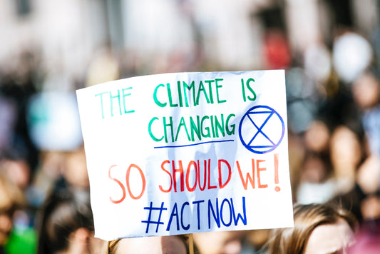 Banner bei Klimaschutz-Demo: "The climate is changing. So should we! #actnow"
